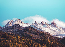 欢迎在宝塔面板安装Z-BlogPHP！