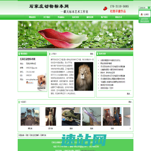 石家庄动物标本网,石家庄动物标本制作,动物标本图片